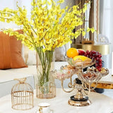 Multilayer Rotatable Fruit Bowl Stand