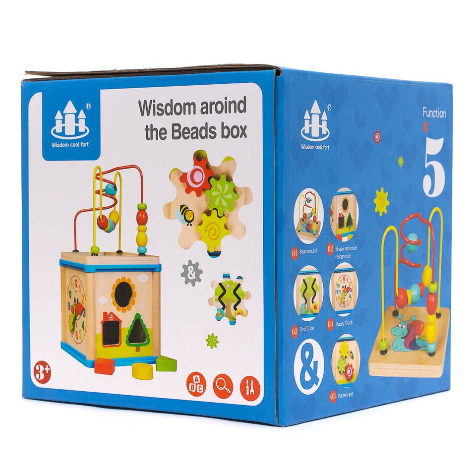Early Education 5-in-1 Wooden Learning Cube