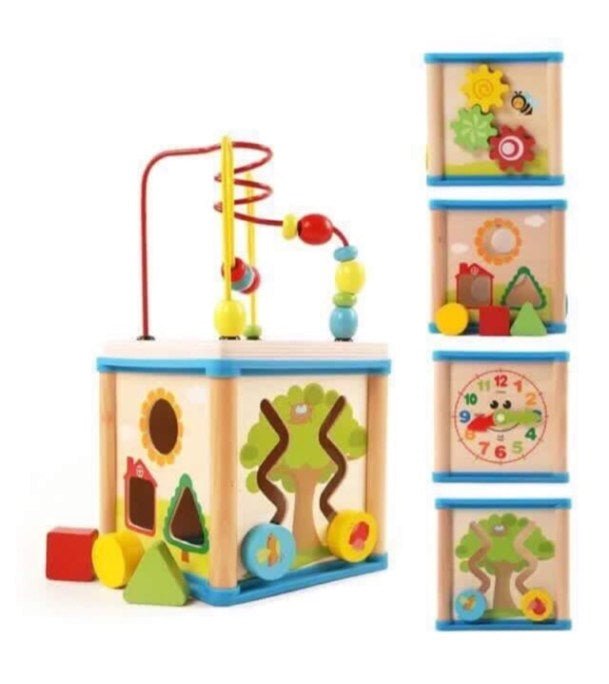 Early Education 5-in-1 Wooden Learning Cube