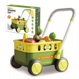Kids Shopping Cart Trolley with Play Food