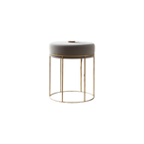 TitaniumEdge Modern Velvet Stool