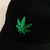 Pack of 2 Maple Cap - Imported
