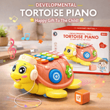 Musical Tortoise Piano Learning & for Babies – Light, Sound &  Shape Activity Playset