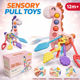 Pull & Sensory Giraffe Hand-Eye Coordination Trainer