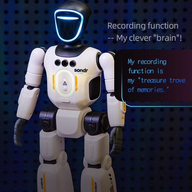 Realistic Smart Gesture & Remote Control Robot