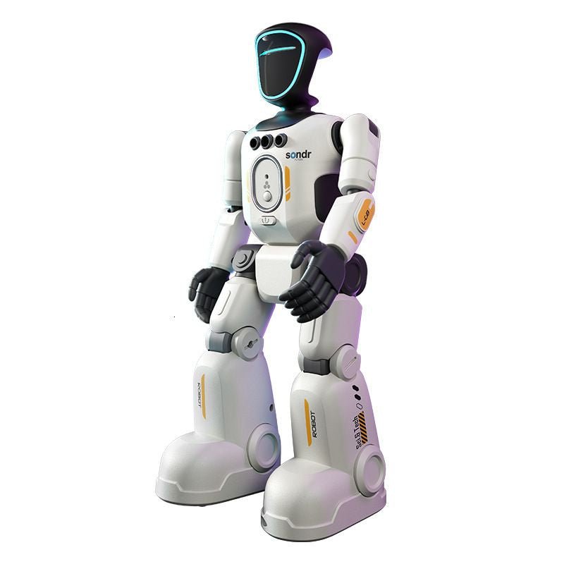 Realistic Smart Gesture & Remote Control Robot