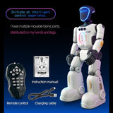 Realistic Smart Gesture & Remote Control Robot