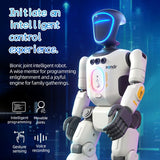Realistic Smart Gesture & Remote Control Robot