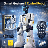 Realistic Smart Gesture & Remote Control Robot