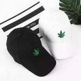Pack of 2 Maple Cap - Imported