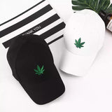 Pack of 2 Maple Cap - Imported