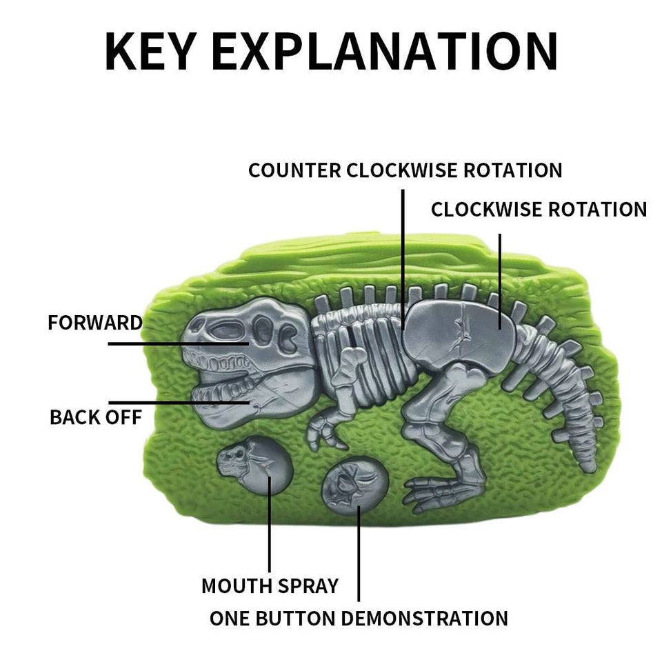 Walking Remote Control Dinosaur with Lights & Sound
